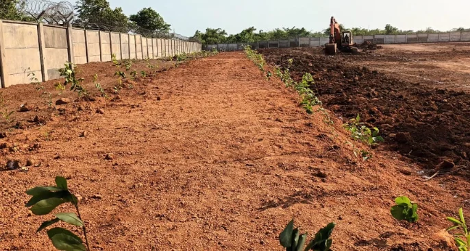 Soil and Land Preparation Services